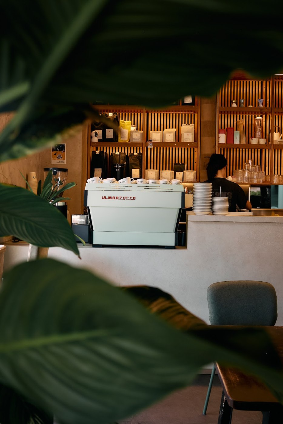 La macchina espresso La Marzocco al banco di FYSA, vista tra le piante